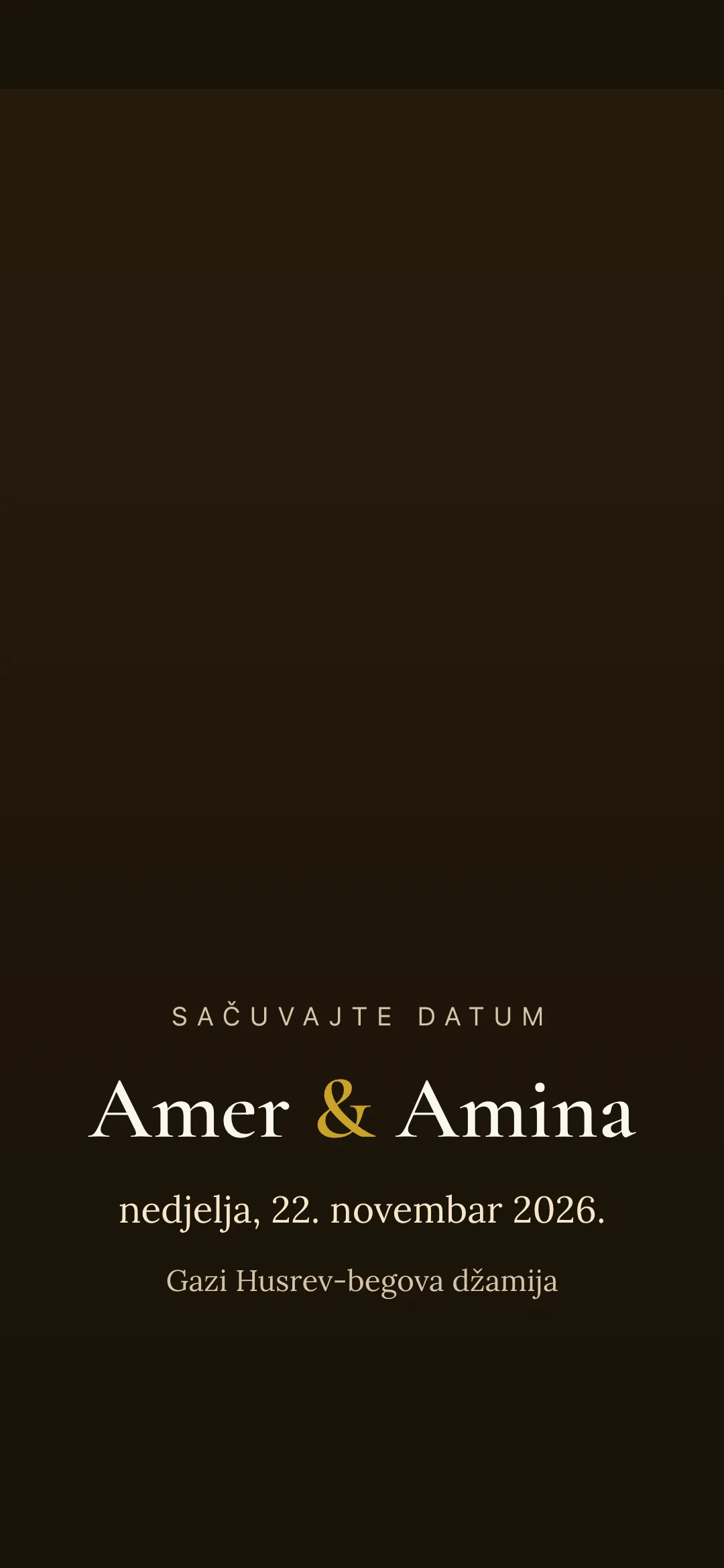 Pregled demo pozivnice za Amer & Amina